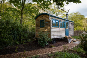 Oak Tree Shepherds Hut Chatsworth Estate